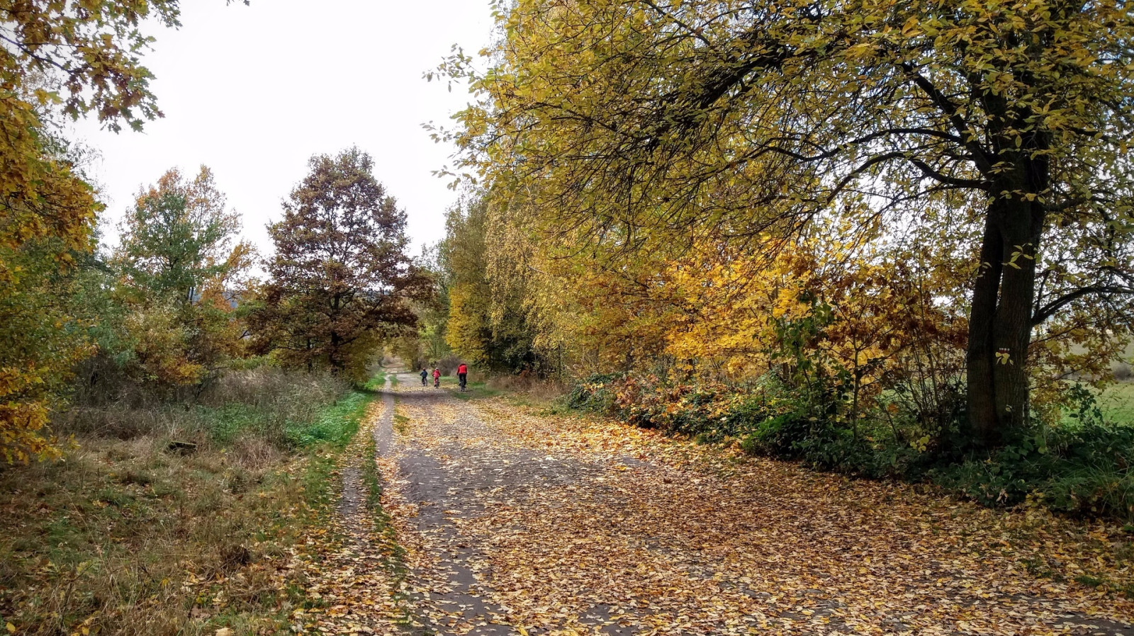 Podzimn� Hitlerova d�lnice nad koupali�t�m